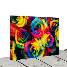 70x120