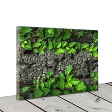 60x80